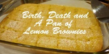 lemon brownies for a family celebration