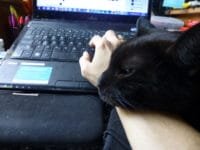 Maria Grace and cat