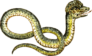 zaltys