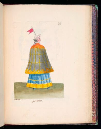 weather vane costume