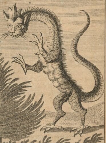 Illustration (fig. X) depicting a mythical "Alpine dragon"