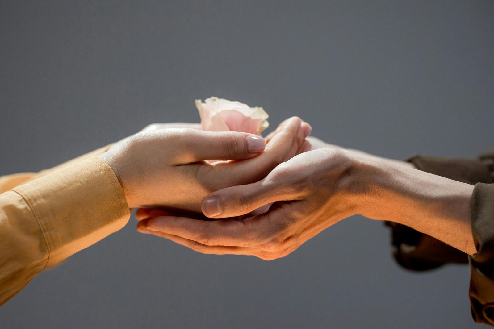 close up of man and woman touching hands and woman holding a rose flower head